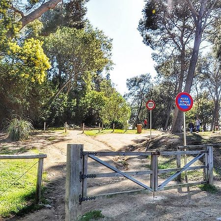 Apartamento Adia Lloret de Mar Exteriör bild